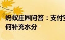 蚂蚁庄园问答：支付宝运动锻炼过程中应该如何补充水分