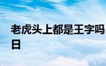 老虎头上都是王字吗 蚂蚁庄园今日答案4月8日