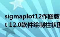 sigmaplot12作图教程（怎么利用SigmaPlot 12.0软件绘制柱状图）