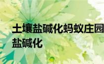 土壤盐碱化蚂蚁庄园 蚂蚁新村今日答案土壤盐碱化