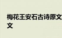 梅花王安石古诗原文视频 梅花王安石古诗原文