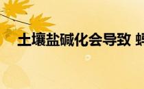 土壤盐碱化会导致 蚂蚁新村答案最新4.7