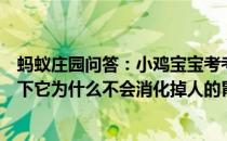 蚂蚁庄园问答：小鸡宝宝考考你胃酸腐蚀能力强大正常状态下它为什么不会消化掉人的胃