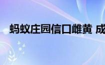 蚂蚁庄园信口雌黄 成语信口雌黄中的雌黄