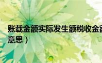 账载金额实际发生额税收金额（账载金额和税收金额是什么意思）