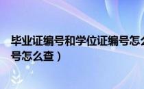 毕业证编号和学位证编号怎么查询（毕业证编号和学位证编号怎么查）