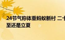 24节气称体重蚂蚁新村 二十四节气中有称体重习俗的是冬至还是立夏