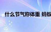 什么节气称体重 蚂蚁新村今日答案称体重