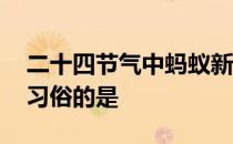 二十四节气中蚂蚁新村 二十四节气有称体重习俗的是