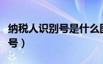 纳税人识别号是什么图片（纳税人识别号是税号）