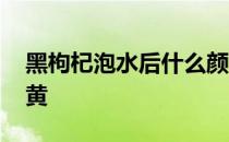 黑枸杞泡水后什么颜色 黑枸杞泡水后颜色发黄