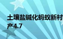 土壤盐碱化蚂蚁新村 土壤盐碱化会让粮食减产4.7