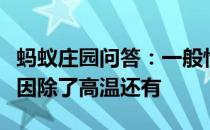 蚂蚁庄园问答：一般情况下容易导致中暑的原因除了高温还有