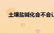 土壤盐碱化会不会让粮食减产蚂蚁新村