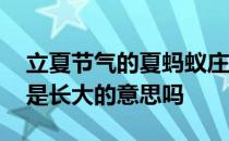 立夏节气的夏蚂蚁庄园 立夏节气的夏在古代是长大的意思吗