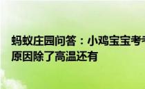 蚂蚁庄园问答：小鸡宝宝考考你一般情况下容易导致中暑的原因除了高温还有