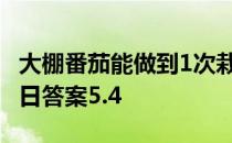 大棚番茄能做到1次栽植蚂蚁新村 蚂蚁新村今日答案5.4