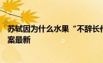 苏轼因为什么水果“不辞长作岭南人” 蚂蚁庄园6月25日答案最新