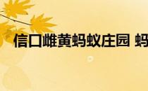 信口雌黄蚂蚁庄园 蚂蚁庄园今日答案雌黄