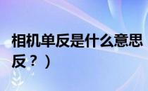 相机单反是什么意思（单反单反到底什么是单反？）