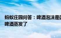 蚂蚁庄园问答：啤酒泡沫是因为二氧化碳释放出来还是部分啤酒蒸发了