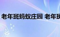 老年斑蚂蚁庄园 老年斑只有老年人才有吗4.6