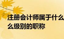 注册会计师属于什么级别 注册会计师属于什么级别的职称