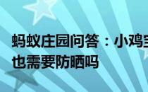 蚂蚁庄园问答：小鸡宝宝考考你除了皮肤眼睛也需要防晒吗