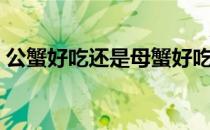 公蟹好吃还是母蟹好吃（怎么区分螃蟹公母）