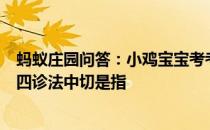 蚂蚁庄园问答：小鸡宝宝考考我国传统医学望、闻、问、切四诊法中切是指