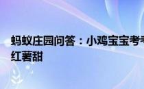 蚂蚁庄园问答：小鸡宝宝考考你一般来说为什么烤红薯比蒸红薯甜