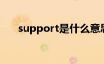 support是什么意思(support的名词)