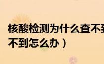 核酸检测为什么查不到结果（核酸检测结果查不到怎么办）