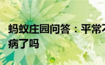 蚂蚁庄园问答：平常不吃肉就不会得心血管疾病了吗