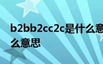 b2bb2cc2c是什么意思啊 B2BB2CC2C是什么意思