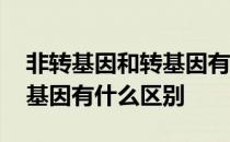 非转基因和转基因有什么不同 非转基因和转基因有什么区别