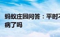 蚂蚁庄园问答：平时不吃肉就能不得心血管疾病了吗