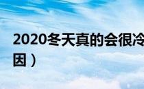 2020冬天真的会很冷吗（2020年会很冷的原因）