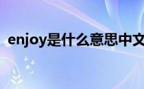 enjoy是什么意思中文（enjoy是什么意思）