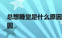 总想睡觉是什么原因造成 总想睡觉是什么原因