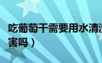 吃葡萄干需要用水清洗吗（葡萄干不洗吃了有害吗）