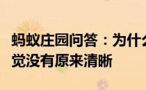 蚂蚁庄园问答：为什么有些镜子用得久了会感觉没有原来清晰