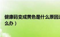 健康码变成黄色是什么原因造成的（健康码被误弄成黄码怎么办）