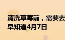 清洗草莓前，需要去蒂吗 蚂蚁庄园今日答案早知道4月7日