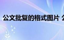 公文批复的格式图片 公文批复的格式及范文