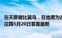 在天愿做比翼鸟，在地愿为连理枝最初写的是谁的故事 蚂蚁庄园5月20日答案最新