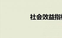 社会效益指标 社会效益