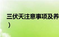 三伏天注意事项及养生（三伏天时间表2021）