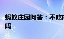 蚂蚁庄园问答：不吃肉就不会得心血管疾病了吗