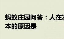 蚂蚁庄园问答：人在发烧时常常没有食欲最根本的原因是